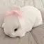 𝐾♡のプロフィール画像