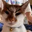 にっしーのプロフィール画像