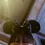 ✭﻿のプロフィール画像