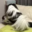 あおいのプロフィール画像