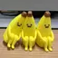 Rioのプロフィール画像