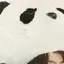 うみのプロフィール画像