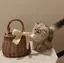 hironaのプロフィール画像