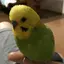 akkoのプロフィール画像