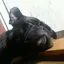 まゆのプロフィール画像