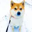 ゆかちんのプロフィール画像