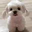 mのプロフィール画像