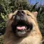 もこのプロフィール画像