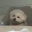 nのプロフィール画像