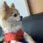 Sのプロフィール画像