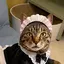てらこのプロフィール画像