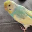 あーちゃんのプロフィール画像