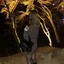 なつのプロフィール画像