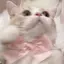 かんなのプロフィール画像