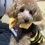 かなやんのプロフィール画像