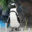 )^o^(のプロフィール画像