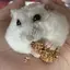 えりのプロフィール画像