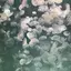 Kのプロフィール画像