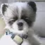 Eのプロフィール画像