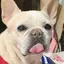 an.cooのプロフィール画像