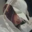 りあのプロフィール画像