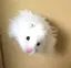 emiのプロフィール画像