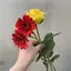 KUMIのプロフィール画像