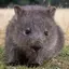 ひとみのプロフィール画像