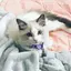 サクちゃんのプロフィール画像