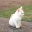 みみのプロフィール画像
