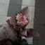 Rのプロフィール画像