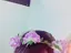 ゆうかのプロフィール画像