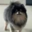 ぎゃのプロフィール画像