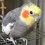 きょうのプロフィール画像