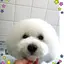 みとちゃんのプロフィール画像