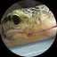 やよやよのプロフィール画像