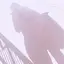 harukaのプロフィール画像