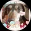 DAIのプロフィール画像