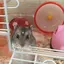 えってぃのプロフィール画像