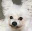 M.Mのプロフィール画像