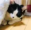 Mikaのプロフィール画像