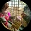 くみのプロフィール画像