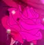 kazsya513のプロフィール画像