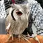 かおりのプロフィール画像
