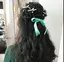 綾音のプロフィール画像