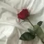 陽菜のプロフィール画像