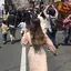 みみのプロフィール画像