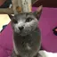 将弥のプロフィール画像