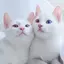 miiのプロフィール画像