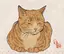 かわこのプロフィール画像